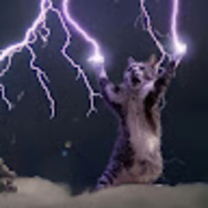 Meet your Posher, Italo